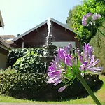 Casa Em Campos Do Jordao